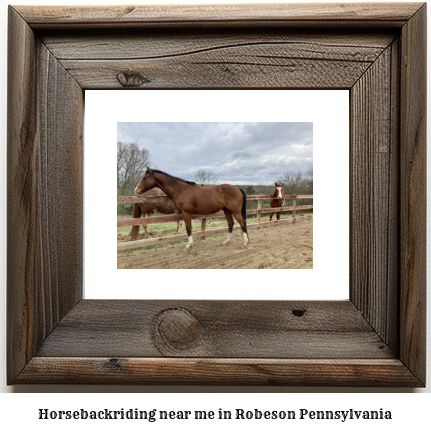 horseback riding near me in Robeson, Pennsylvania